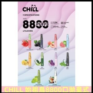 CHILL始祖鳥電子煙鴨嘴獸拋棄式8800口 一次性8ml大容量煙油