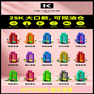 鑰石KEYSTONE FLEX-3 25000口專彈專機套裝|大容量續航